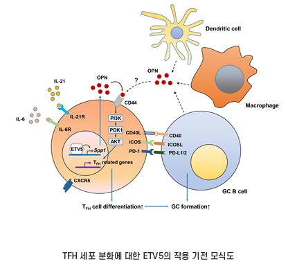첨부파일