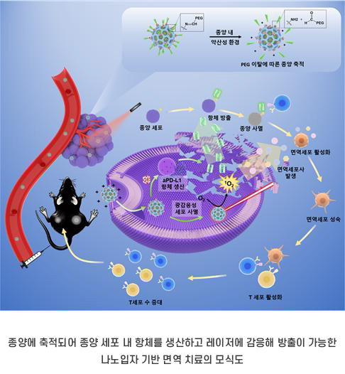 첨부파일