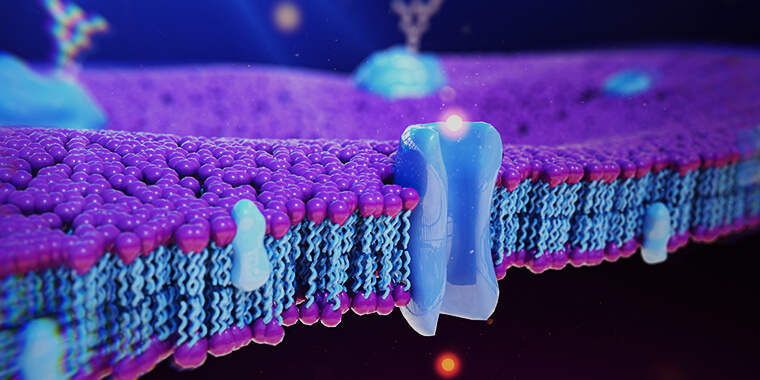 Biomembrane Engineering