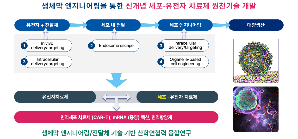 연구분야